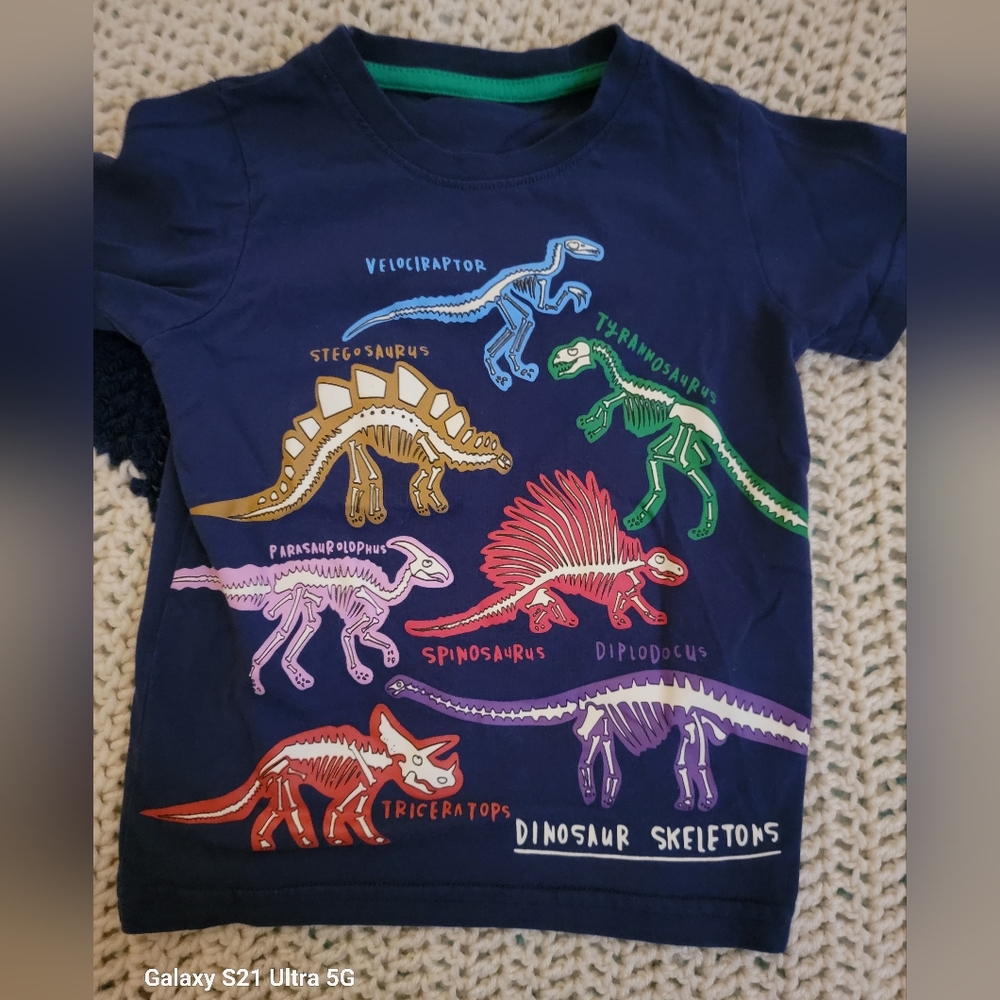 Temu sz 110 (5Y) Dinosaur tshirt